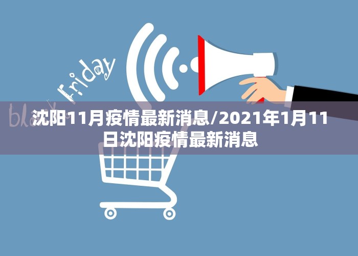 沈阳11月疫情最新消息/2021年1月11日沈阳疫情最新消息