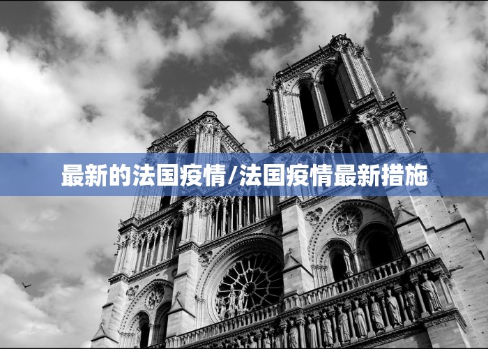 最新的法国疫情/法国疫情最新措施