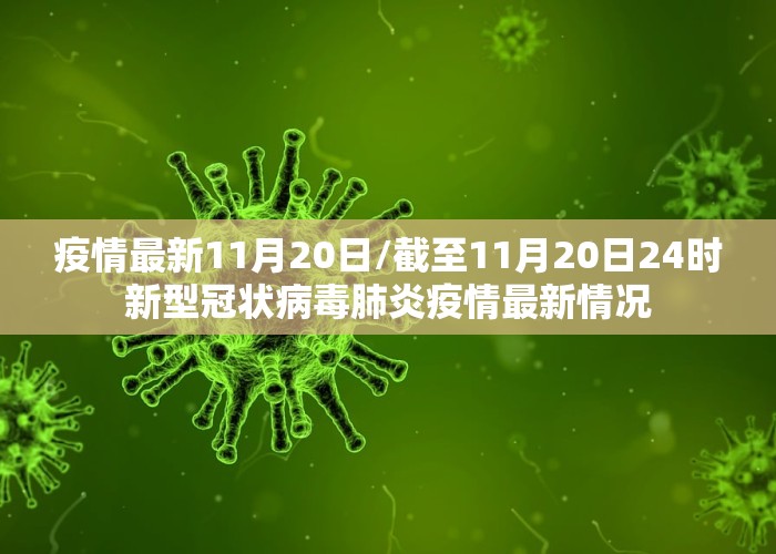 疫情最新11月20日/截至11月20日24时新型冠状病毒肺炎疫情最新情况