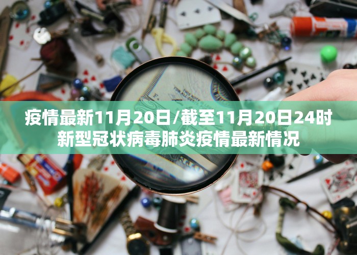 疫情最新11月20日/截至11月20日24时新型冠状病毒肺炎疫情最新情况