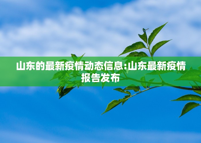 山东的最新疫情动态信息:山东最新疫情报告发布