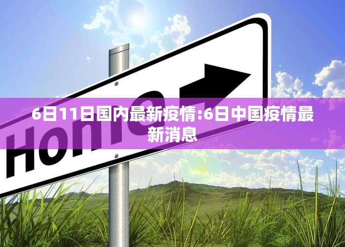 6日11日国内最新疫情:6日中国疫情最新消息