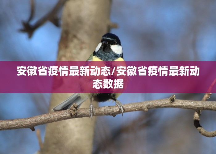 安徽省疫情最新动态/安徽省疫情最新动态数据