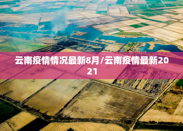 云南疫情情况最新8月/云南疫情最新2021