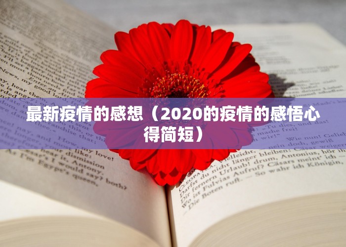 最新疫情的感想（2020的疫情的感悟心得简短）