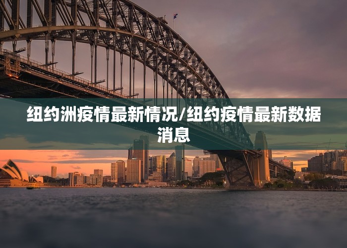 纽约洲疫情最新情况/纽约疫情最新数据消息