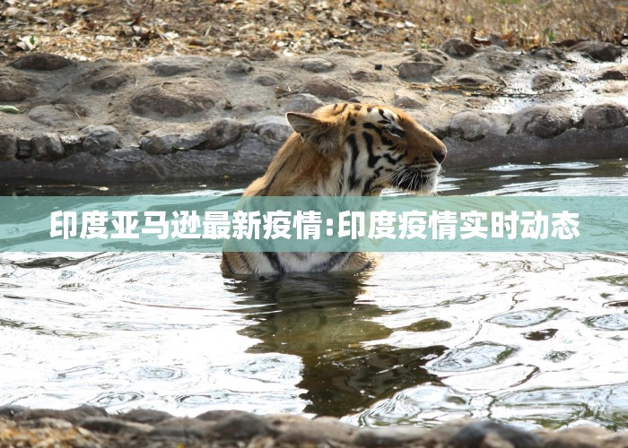 印度亚马逊最新疫情:印度疫情实时动态