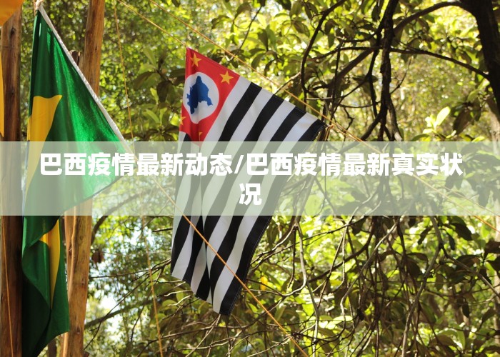 巴西疫情最新动态/巴西疫情最新真实状况