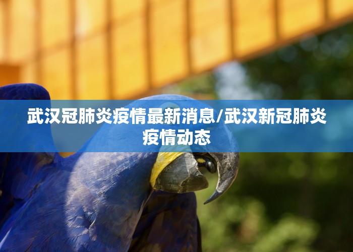 武汉冠肺炎疫情最新消息/武汉新冠肺炎疫情动态
