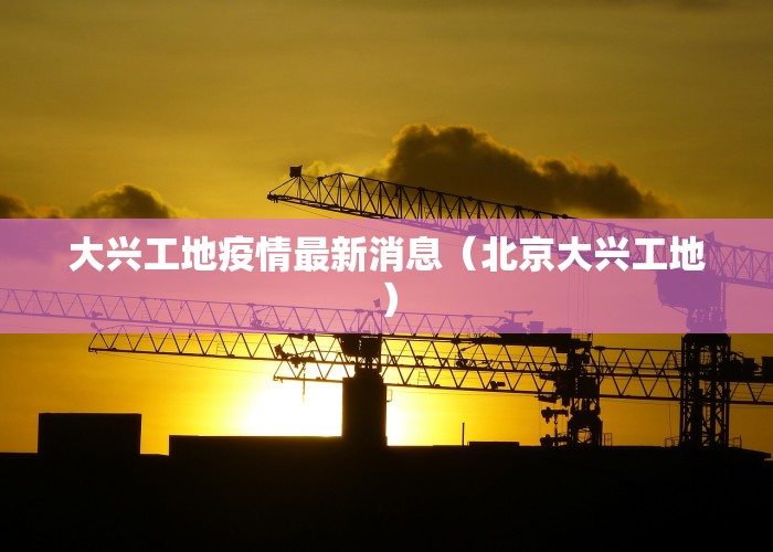 大兴工地疫情最新消息（北京大兴工地）