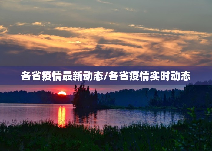 各省疫情最新动态/各省疫情实时动态