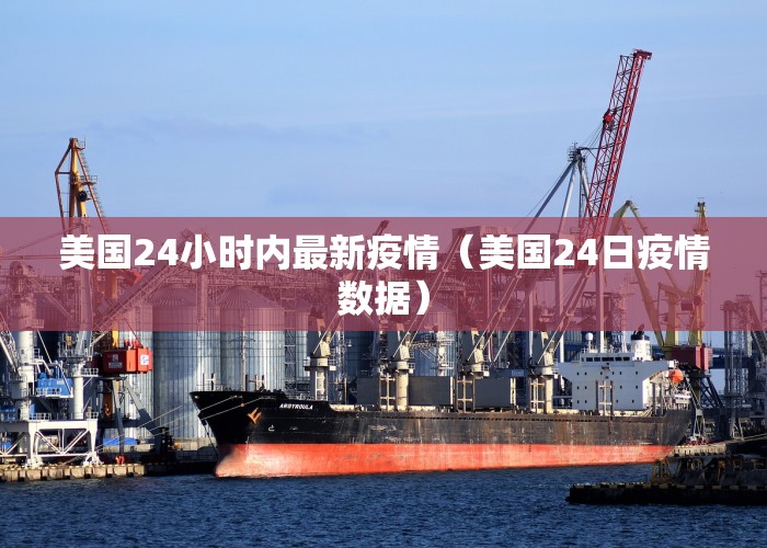 美国24小时内最新疫情（美国24日疫情数据）