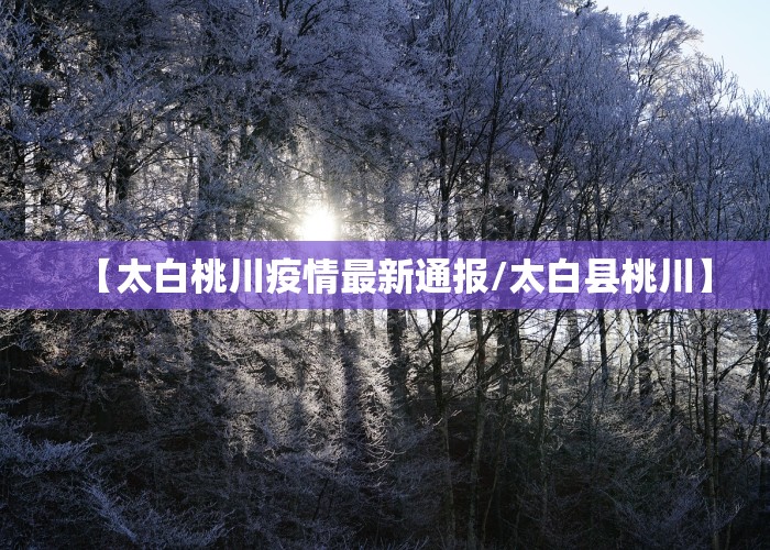 【太白桃川疫情最新通报/太白县桃川】