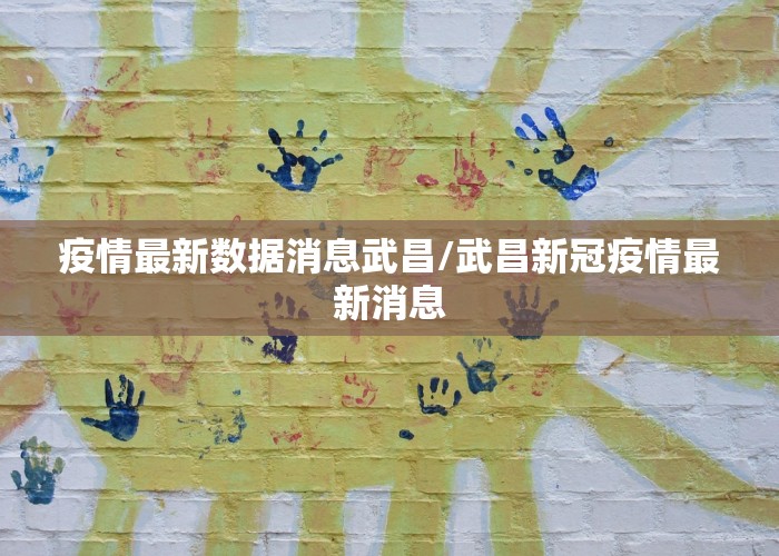 疫情最新数据消息武昌/武昌新冠疫情最新消息