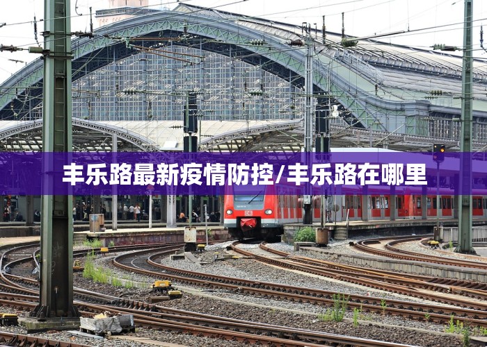 丰乐路最新疫情防控/丰乐路在哪里