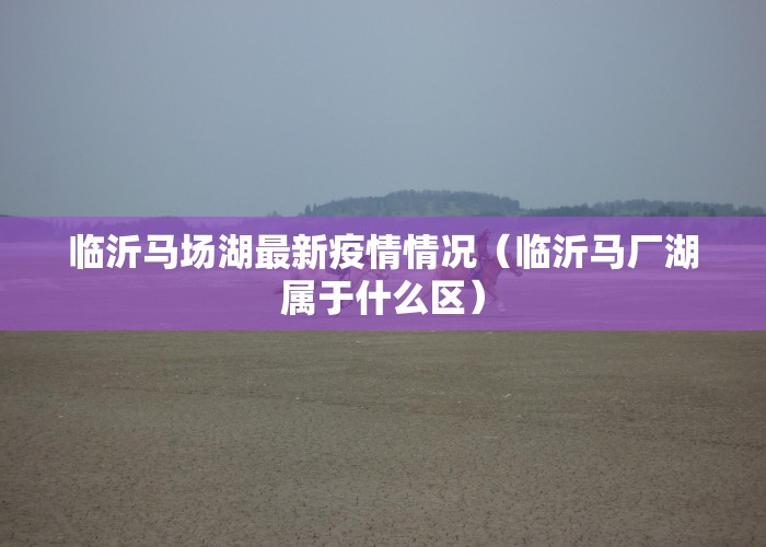 临沂马场湖最新疫情情况（临沂马厂湖属于什么区）