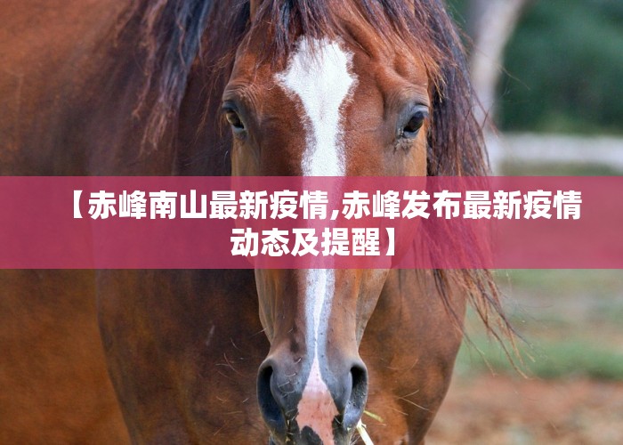 【赤峰南山最新疫情,赤峰发布最新疫情动态及提醒】