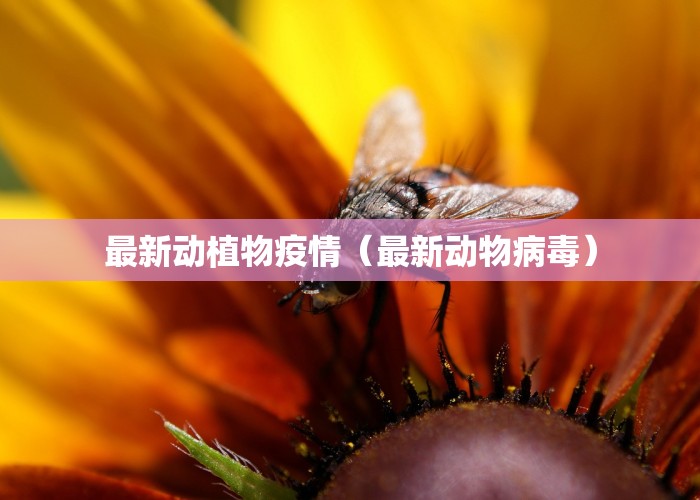 最新动植物疫情（最新动物病毒）