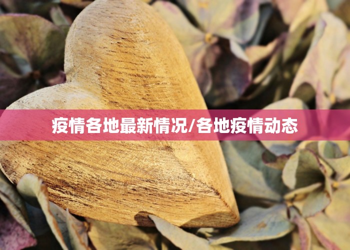 疫情各地最新情况/各地疫情动态