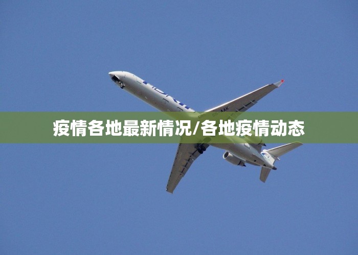 疫情各地最新情况/各地疫情动态