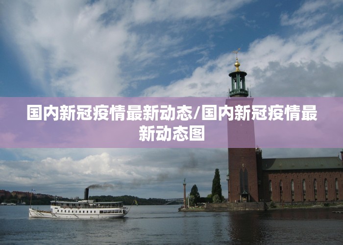 国内新冠疫情最新动态/国内新冠疫情最新动态图