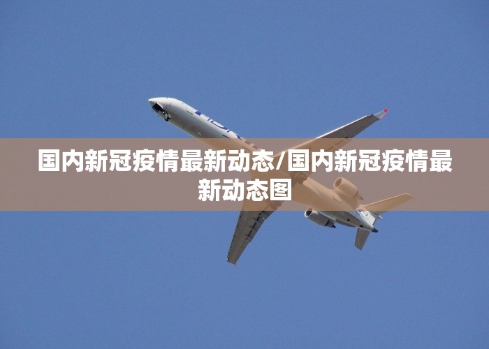 国内新冠疫情最新动态/国内新冠疫情最新动态图