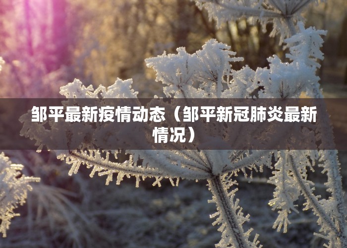 邹平最新疫情动态（邹平新冠肺炎最新情况）