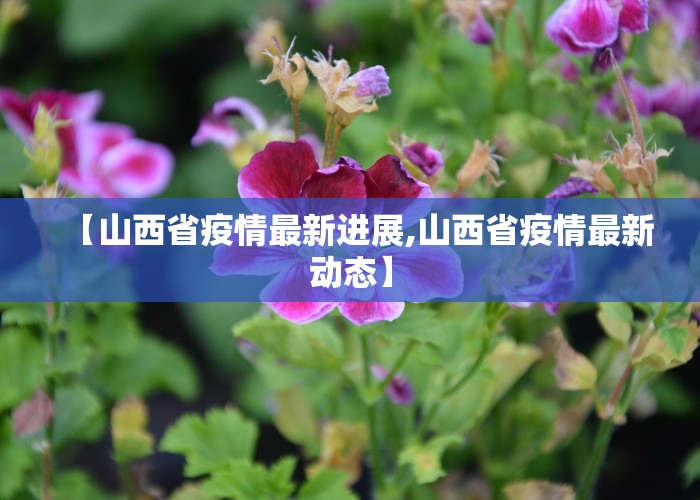 【山西省疫情最新进展,山西省疫情最新动态】