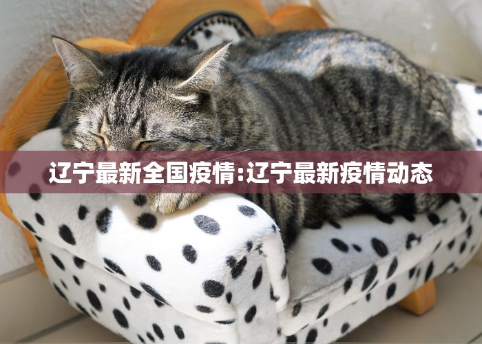 辽宁最新全国疫情:辽宁最新疫情动态