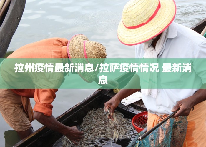 拉州疫情最新消息/拉萨疫情情况 最新消息