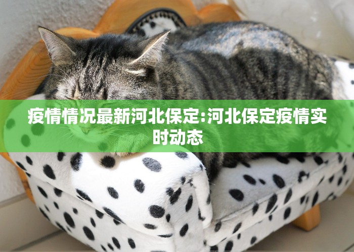 疫情情况最新河北保定:河北保定疫情实时动态